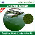 Chlorella orgánico de alta calidad y espirulina en polvo